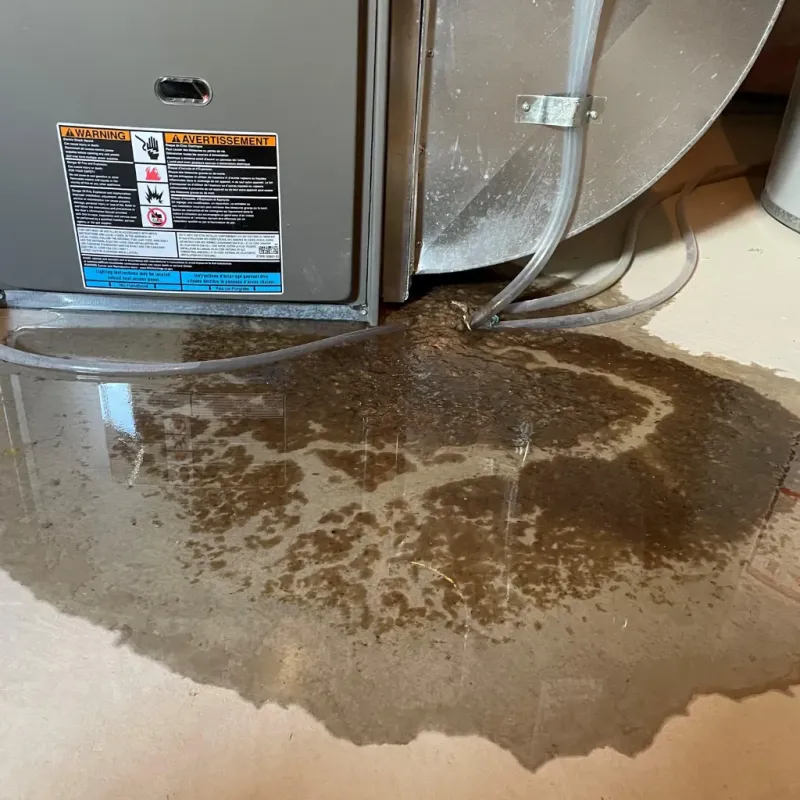 Appliance Leak Cleanup in Albemarle, NC